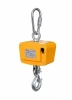 Весы крановые КВ-300-А (В2) К