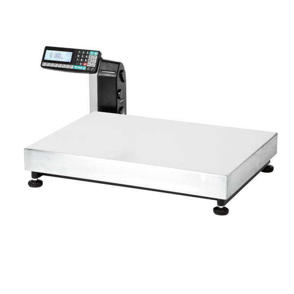 Весы товарные с печатью этикеток МАССА-К ТВ-M-600.2-RL1 (600х800)