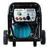 Бензиновый генератор сварочный Alteco Professional AGW-250A